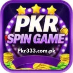 PKRSpin